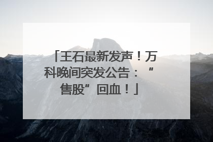 王石最新发声！万科晚间突发公告：“售股”回血！
