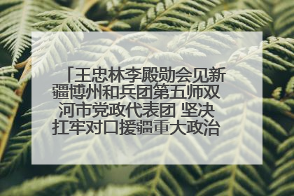 王忠林李殿勋会见新疆博州和兵团第五师双河市党政代表团 坚决扛牢对口援疆重大政治责任 推动双方实现优势互补务实合作
