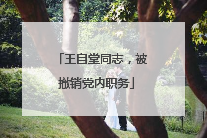 王自堂同志，被撤销党内职务