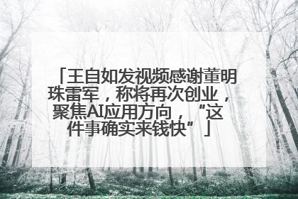 王自如发视频感谢董明珠雷军，称将再次创业，聚焦AI应用方向，“这件事确实来钱快”