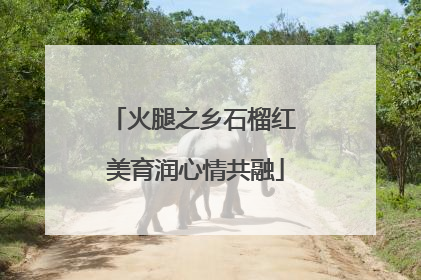 火腿之乡石榴红 美育润心情共融
