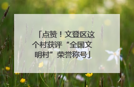 点赞！文登区这个村获评“全国文明村”荣誉称号