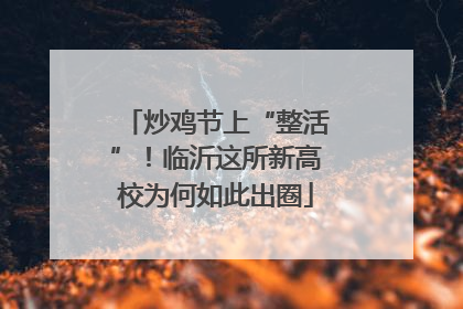 炒鸡节上“整活”！临沂这所新高校为何如此出圈