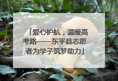 爱心护航，温暖高考路——东平县志愿者为学子筑梦助力