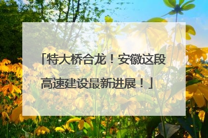 特大桥合龙！安徽这段高速建设最新进展！