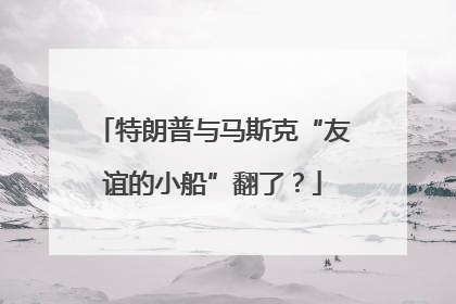 特朗普与马斯克“友谊的小船”翻了？