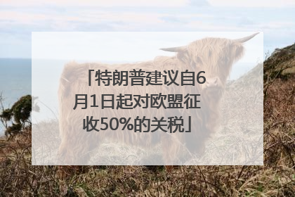 特朗普建议自6月1日起对欧盟征收50%的关税