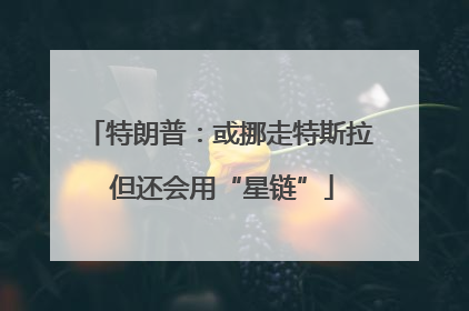 特朗普：或挪走特斯拉 但还会用“星链”