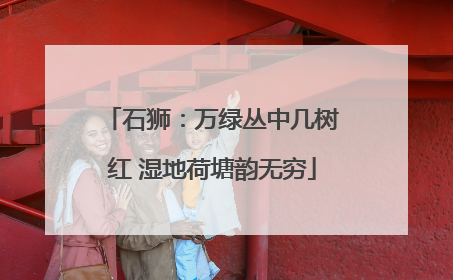 石狮：万绿丛中几树红 湿地荷塘韵无穷