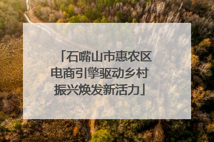 石嘴山市惠农区电商引擎驱动乡村振兴焕发新活力