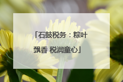 石鼓税务：粽叶飘香 税润童心