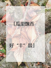 瓜果飘香 好“丰”景