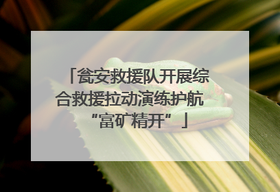 瓮安救援队开展综合救援拉动演练护航“富矿精开”