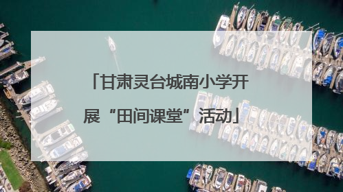 甘肃灵台城南小学开展“田间课堂”活动