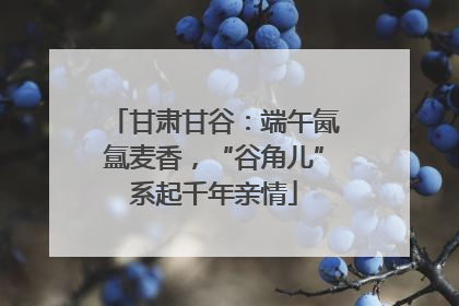 甘肃甘谷：端午氤氲麦香，“谷角儿”系起千年亲情