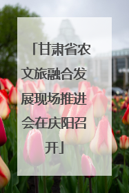 甘肃省农文旅融合发展现场推进会在庆阳召开