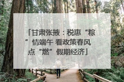 甘肃张掖：税惠“粽”情端午 看政策春风点“燃”假期经济