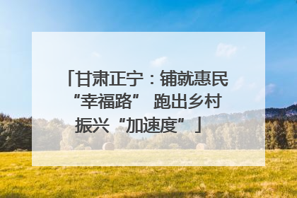 甘肃正宁：铺就惠民“幸福路” 跑出乡村振兴“加速度”