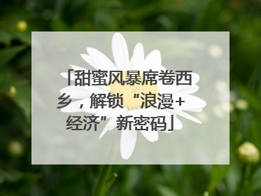 甜蜜风暴席卷西乡，解锁“浪漫+经济”新密码