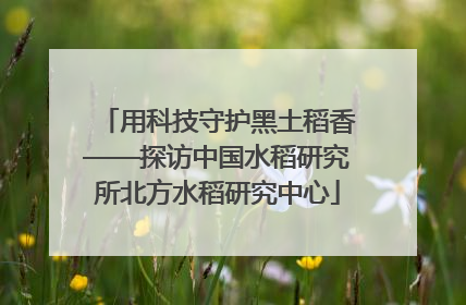 用科技守护黑土稻香——探访中国水稻研究所北方水稻研究中心
