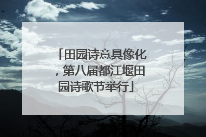 田园诗意具像化，第八届都江堰田园诗歌节举行