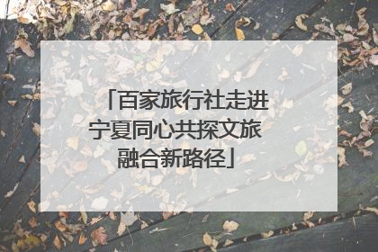 百家旅行社走进宁夏同心共探文旅融合新路径