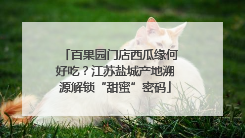 百果园门店西瓜缘何好吃？江苏盐城产地溯源解锁“甜蜜”密码