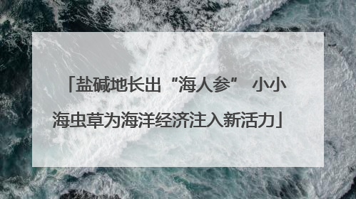 盐碱地长出“海人参” 小小海虫草为海洋经济注入新活力
