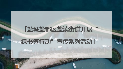盐城盐都区盐渎街道开展“绿书签行动”宣传系列活动