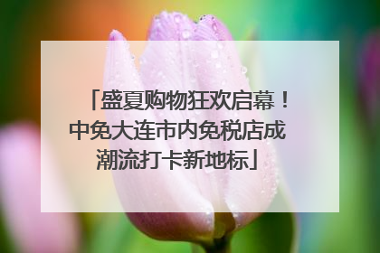 盛夏购物狂欢启幕！中免大连市内免税店成潮流打卡新地标