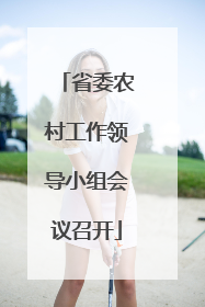 省委农村工作领导小组会议召开