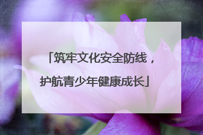筑牢文化安全防线，护航青少年健康成长