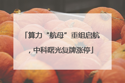 算力“航母”重组启航，中科曙光复牌涨停