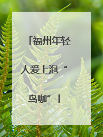 福州年轻人爱上泡“鸟咖”