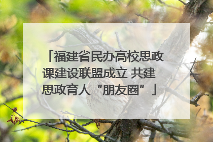 福建省民办高校思政课建设联盟成立 共建思政育人“朋友圈”