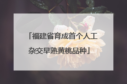 福建省育成首个人工杂交早熟黄桃品种