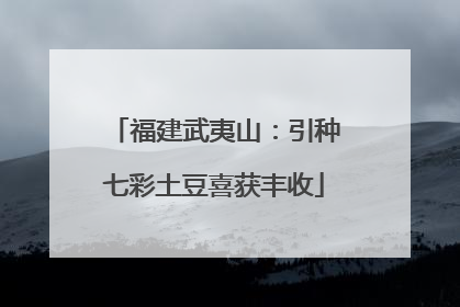 福建武夷山：引种七彩土豆喜获丰收