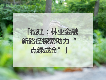 福建：林业金融新路径探索助力“点绿成金”