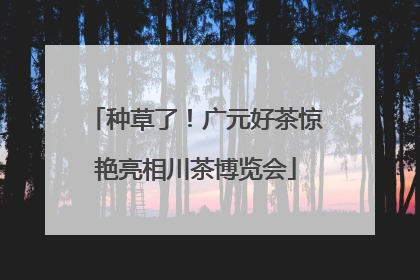 种草了！广元好茶惊艳亮相川茶博览会
