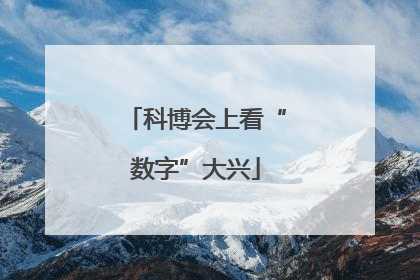 科博会上看“数字”大兴
