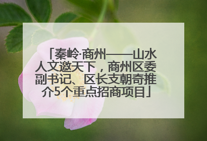 秦岭·商州——山水人文邀天下，商州区委副书记、区长支朝奇推介5个重点招商项目