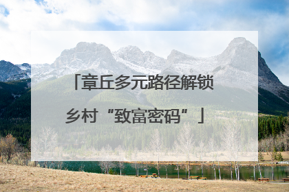 章丘多元路径解锁乡村“致富密码”