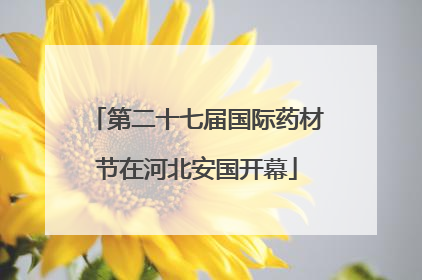 第二十七届国际药材节在河北安国开幕