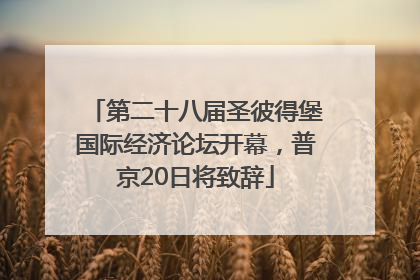 第二十八届圣彼得堡国际经济论坛开幕，普京20日将致辞