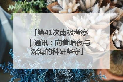 第41次南极考察｜通讯：向着暗夜与深海的科研坚守