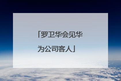 罗卫华会见华为公司客人