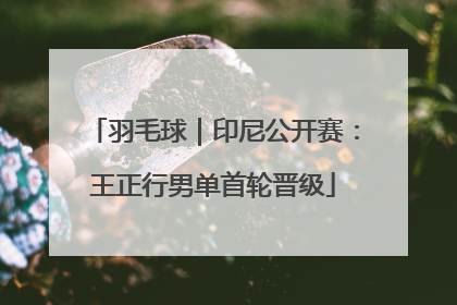 羽毛球｜印尼公开赛：王正行男单首轮晋级