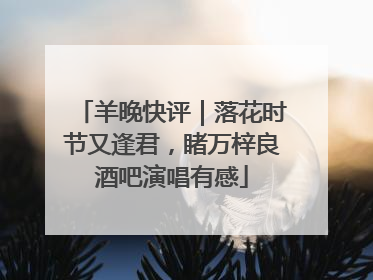 羊晚快评｜落花时节又逢君，睹万梓良酒吧演唱有感