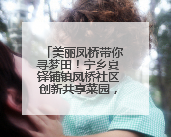美丽凤桥带你寻梦田！宁乡夏铎铺镇凤桥社区创新共享菜园，市民认领菜土，体验耕种收获乐趣