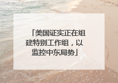 美国证实正在组建特别工作组，以监控中东局势